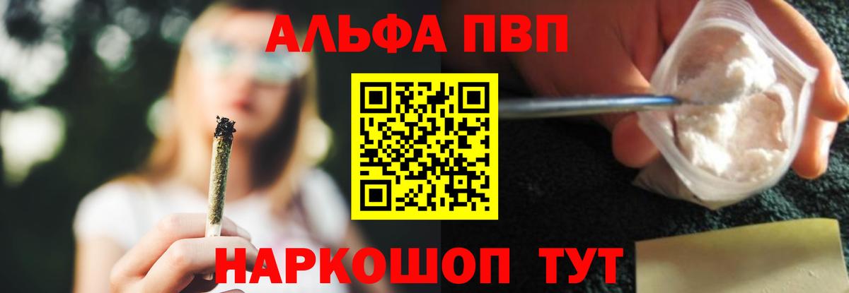 A PVP крисы CK Алейск
