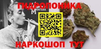 mdpv Обнинск