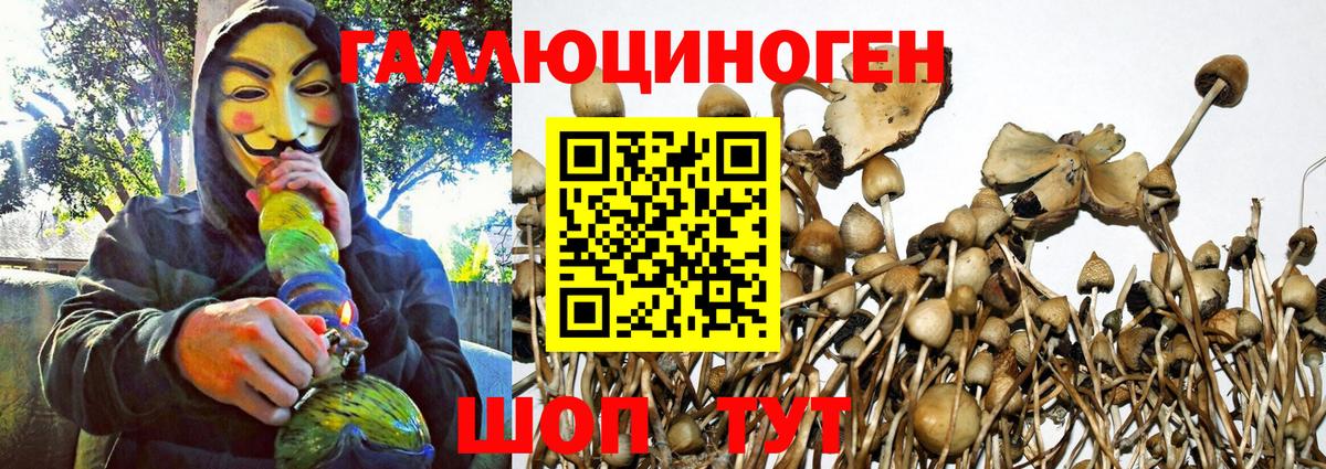 Псилоцибиновые грибы Psilocybe  Псилоцибиновые грибы Psilocybine cubensis  Вход с VPN  Алейск 