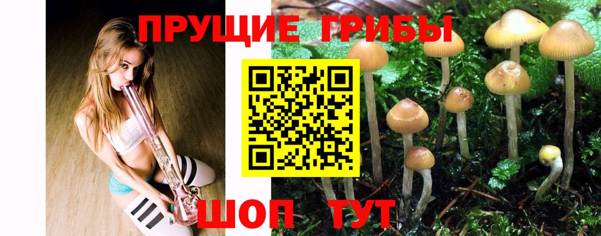 Галлюциногенные грибы мухоморы Алейск